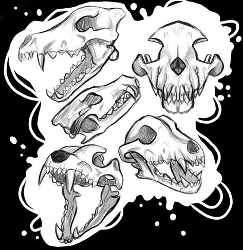 Wolf Skull Side View, Wolf Skull Drawing, Skull Side View, Animal Skull Drawing, Canine Skull, Wolf Skull, Doodle Ideas, Skull Drawing, Animal Skulls