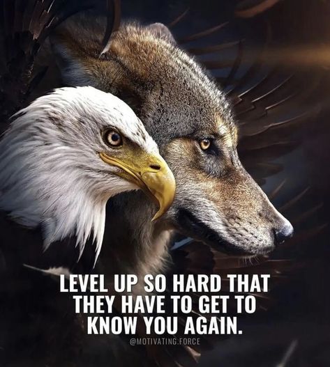 Eagles Quotes, Good Soul Quotes, Lone Wolf Quotes, Level Up Your Life, Inspirational Quotes Background, Life Choices Quotes, Wolf Quotes, Stoic Quotes, Strong Mind Quotes