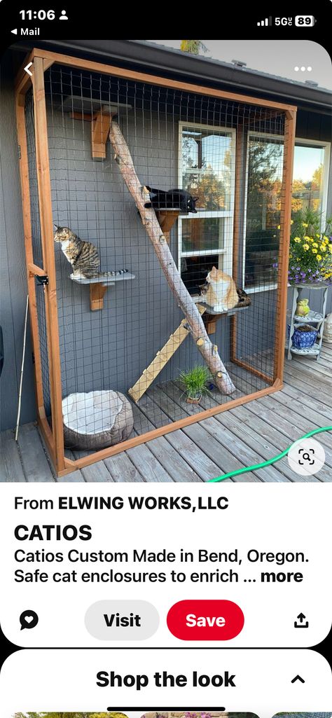 Cat Shed Ideas, Cat Patio Window, Catios Ideas For Cats, Window Catio, Outside Cat Enclosure, Catio Ideas, Diy Cat Enclosure, Cat Tree Plans, Introvert Cat