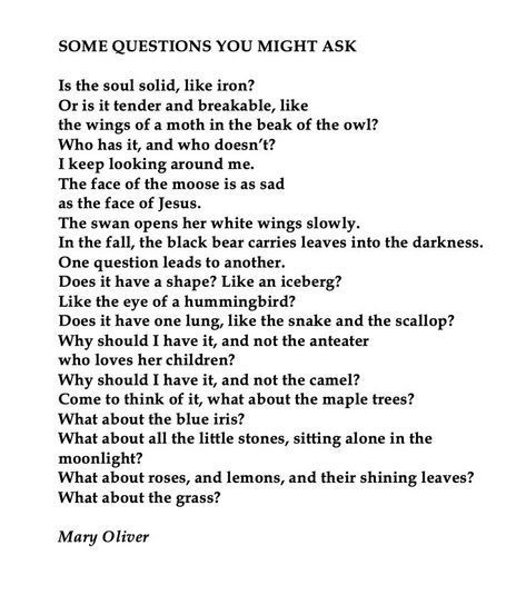 Some Questions You Might Ask ~ Mary Oliver Poetic Questions, Poetic Words, E Words, Writing Therapy, Mary Oliver, Journal Quotes, Some Questions, Poetry Words, Poem Quotes