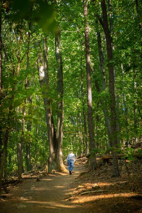 A person walking on a path through a dense forest. Kennesaw Mountain, Historic Landmarks, Marietta Georgia, Take A Walk, Walking Trails, Battlefield, A Walk, Outdoor Activities, Georgia