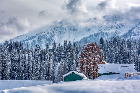 snow covered house #himalayas #kashmir #mountains #winter #5K #wallpaper #hdwallpaper #desktop Winter Wallpaper Hd, Kashmir Trip, Kashmir Tour, Azad Kashmir, Nature Architecture, Srinagar, Winter Wallpaper, Hill Station, Winter Vacation