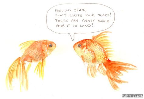 . Fish In The Sea, Plenty Of Fish, Joy Of Life, Relationship Problems, Sea Fish, Funny Art, Artsy Fartsy, Bones Funny, Make You Smile