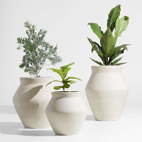 White flower pot