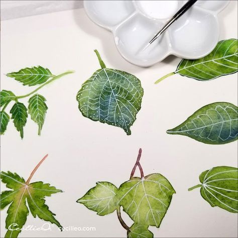 Coloring Leaves, Draw Leaves, Watercolor Doodles, Watercolour Leaves, How To Watercolor, Different Leaves, Stamp Techniques, Watercolor Videos, Flowers Watercolour