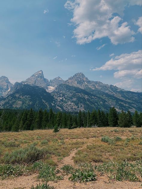 Yellow Stone Aesthetic, Yellowstone Vibes, Yellowstone Aesthetic, Phone Widgets, Earth Baby, Yellow Aesthetic, Yellow Stone, Dream Lifestyle, Travel Aesthetic