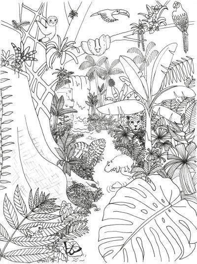 Rainforest Animals and Plants Coloring Page | Rainforest Alliance Rainforest Plants Drawing, Rainforest Coloring Pages, Rainforest Drawing, Amazon Rainforest Animals, Jungle Coloring Pages, Forest Coloring Pages, Rainforest Plants, Forest Ecosystem, Rainforest Animals