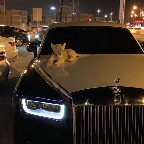 Gs 1200 Bmw, Cars Rolls Royce, Royce Car, Images Hello Kitty, Rolls Royce Wraith, Car Organization, Aesthetic Car, Car Decorations, Lux Cars