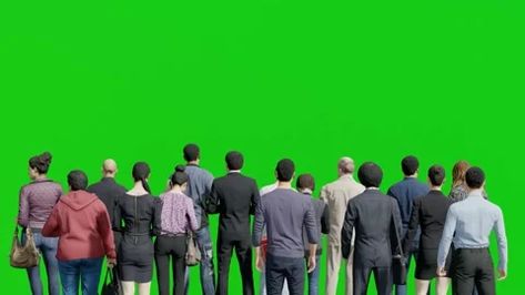 Isolated group of businessman standing in back view,3D people animation on green screen background chroma key People Animation, Screen Background, Green Screen Backgrounds, Chroma Key, Back View, Green Screen, Business Man, Stock Video, Screen