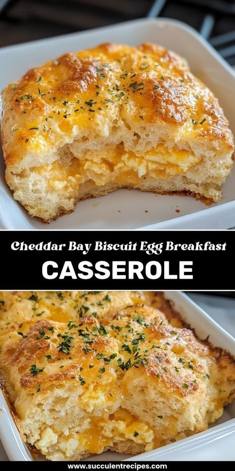 Wake up to this Cheddar Bay Biscuit Breakfast Casserole! Layers of fluffy eggs, savory sausage, and cheesy Cheddar Bay biscuits make this dish the ultimate breakfast comfort food for family gatherings or lazy weekends. Biscuit Breakfast Casserole, Egg Breakfast Casserole, Biscuit Breakfast, Sausage Egg Casserole, Perfect Roast Turkey, Food For Family, Breakfast Casserole With Biscuits, Biscuits Casserole, Breakfast Egg Casserole