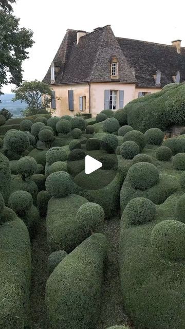 Edenrowe 🌿 Garden Design + Inspiration + Travel on Instagram: "Majestic @marqueyssac, where over 150,000 meticulously hand-pruned boxwoods live. Perched above the Dordogne River, this historical masterpiece offers panoramic views that inspire and awe. 🌿🏰💫   🌿 Our monthly newsletter is blooming soon ⁠⇢ visit our link in bio⁠ to sign up  #MarqueyssacGardens #Boxwood #DordogneValley #FrenchGardens #HistoricGardens #GardenArtistry #LandscapeDesign #PanoramicViews #CulturalHeritage #NaturePhotography #GardenExploration #TravelFrance #GardenInspiration #Wanderlust #BotanicalWonder #ScenicDestinations #NatureWalks #GardensofInstagram #PeacefulPlaces #TopiaryArt #ExploreNature#drone" Boxwood Landscaping, Dordogne River, Courtyard Gardens, Courtyard Gardens Design, European Garden, Garden Of Earthly Delights, Gardens Design, Monthly Newsletter, Garden Park