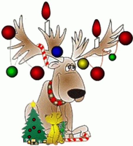 Rudolph Cute GIF - Rudolph Cute ChristmasDecorations - Discover & Share GIFs Christmas Reindeer Lights, Christmas Animated Gif, Christmas Tree Gif, Christmas Clipart Free, Merry Christmas Animation, Good Morning Christmas, Cute Christmas Decorations, Merry Christmas Gif, Xmas Greetings