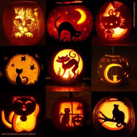 Pokemon Pumpkin, Cat Pumpkin Carving, Carve Pumpkins, Creative Pumpkin Painting, Cute Pumpkin Carving, Pumkin Carving, Halloween Pumpkin Carving Stencils, Carving Stencils, Pokemon Halloween