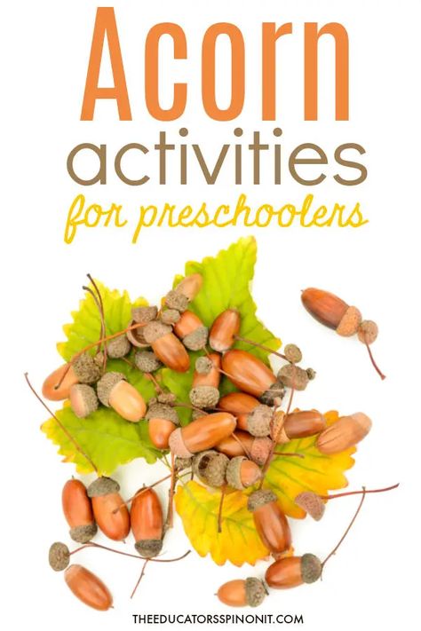 Explore ideas and books for using acorns for learning with your preschooler this fall. Outdoor learning with these hands-on acorn activities! Acorn Activities For Preschoolers, Acorn Soup, Acorn Activities, Acorn Painting, Preschool Math Games, Preschool Units, Fall Preschool Activities, Family Projects, Acorn Crafts