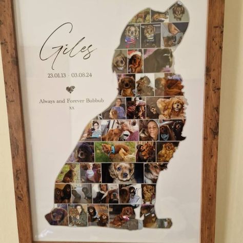 Custom Spaniel Photo Collage, Dog Lover Gift, Pet Memorial Gift, Pet Loss, Personalise With Your Digital Photos - Etsy Pet Loss Dog, Photo Collage Prints, Collage Foto, Pet Keepsake, Dog Dad Gifts, Dog Memorial Gift, Pet Sympathy, Digital Photos, Pet Loss Gifts