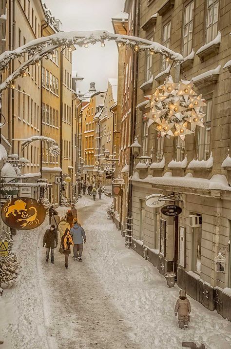 stockholm best winter wonderlands Stockholm Winter, Kingdom Of Sweden, Visit Stockholm, Winter Travel Destinations, Scandinavia Travel, Europe Winter, Winter Scenery, Most Beautiful Cities, Stockholm Sweden