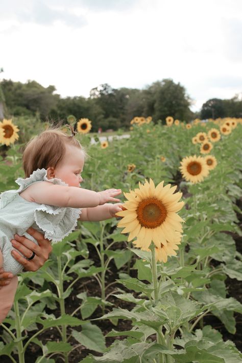 Sunflower Field Baby Photoshoot, Baby Sunflower Photoshoot, Sunflower Mini Session, Sunflower Field Photoshoot, Sunflower Shoot, Baby Sunflower, Sunflower Photos, Sunflower Photoshoot, Sunflower Photography