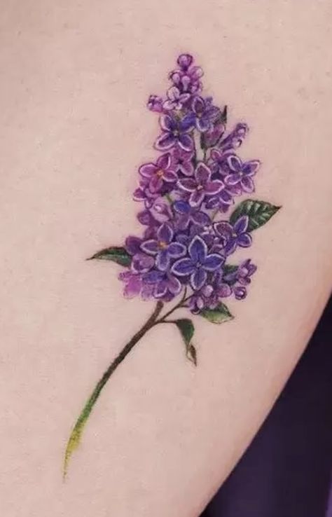 Lilac Hummingbird Tattoo, Lilac Tattoo Color, Small Lilac Tattoo, Lilac Tattoo Design, Lilac Flower Tattoo, Witcher Tattoo, Lilac Tattoo, Purple Tattoos, Lilac Painting