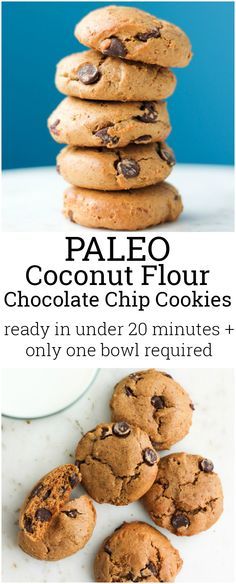 Whip up these coconut flour chocolate chip cookies in under 20 minutes. Only 1 bowl needed! They're grain free, paleo, gluten free and dairy free. Coconut Flour Chocolate Chip Cookies, Weight Watcher Desserts, Paleo Chocolate Chip Cookies, Coconut Flour Recipes, Paleo Cookies, Paleo Baking, Paleo Sweets, Low Carb Dessert, Gourmet Cookies