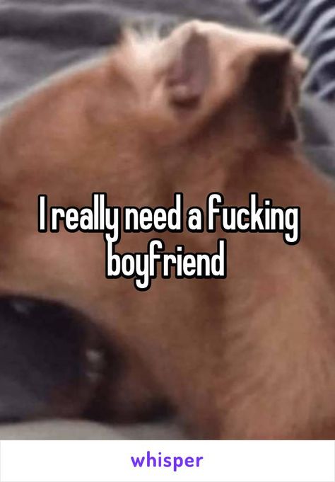 I Need Boyfriend, I Wish I Had A Boyfriend, I Need A Bf, I Want A Boyfriend, I Need A Boyfriend, Bad Boyfriend, I Have A Boyfriend, Whisper Board, Boyfriend Memes