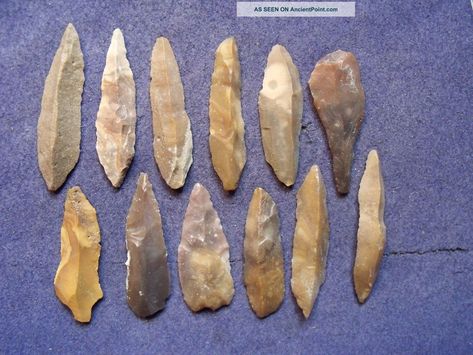 12 Unifacial Blades From The Sahara Mesolithic Period Mesolithic Age Tools, Mesolithic Tools, Bronze Age Tools, Arrow Template, Cro Magnon, Stone Age Tools, Early Man, Native American Tools, Arrowheads Artifacts