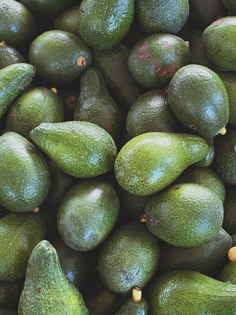 Avocado Photography Food Styling, Avocado Food Photography, Avocado Green Aesthetic, Avacados Aesthetic, Avocado Photography, Apothecary Skincare, Aesthetic Avocado, Avocado Aesthetic, Avocado Trees