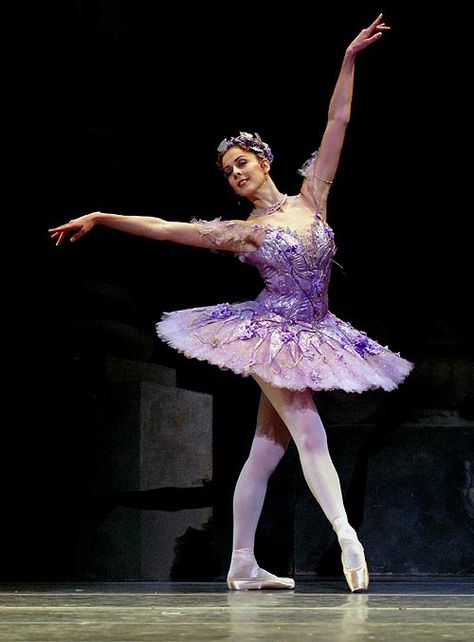 Laura McCulloch, Royal Ballet soloist, as the Lilac Fairy in Sleeping Beauty  © John Ross Marianela Nunez, Fairy Vibe, Vibe Art, Sleeping Beauty Ballet, Lilac Fairy, Ballet Images, Opera Ballet, Ballet Pictures, The Sleeping Beauty