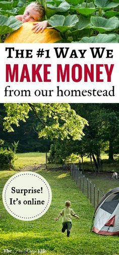 Homestead Tips, Homesteading Tips, Homesteading Ideas, Homesteading Diy, Teen Money, Homesteading Skills, Make Money Writing, Urban Homesteading, Living Off The Land