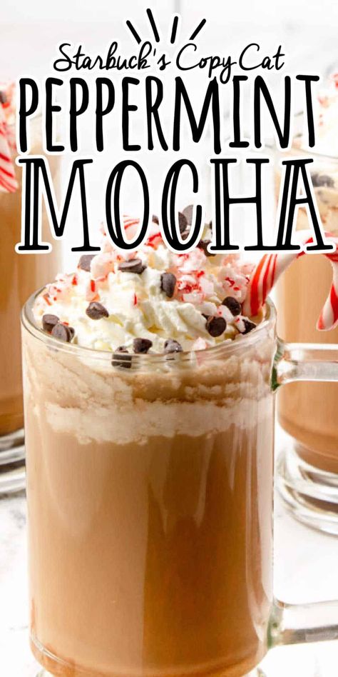 I love coffee and holiday flavors, but I don't want to spend a ton of money. That's why I started making my own Homemade Peppermint Mocha with ingredients from the grocery store, and no fake coffee creamer. It was surprisingly easy! Once you try this recipe at home, you will always keep the recipe close by. Mocha Coffee Creamer Recipe, Mocha Creamer Recipe, Peppermint Coffee Creamer, Ninja Coffee Bar Recipes, Fake Coffee, Homemade Peppermint Mocha, Peppermint Mocha Creamer, Mocha Creamer, Coffee Breakfast Smoothie