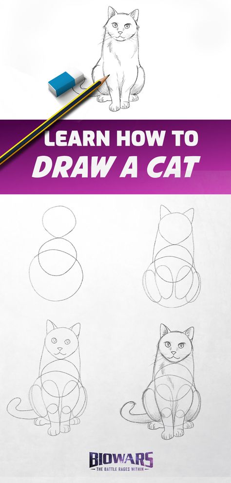 A collage of images depicting the process of drawing a cat. How To Draw A Cute Cat Step By Step, Cat Sketch Step By Step, How To Draw Anime Cat, Realistic Cat Drawing Step By Step, Draw A Cat Step By Step, Animal Drawing Tutorial Step By Step, Simple Cat Drawing Step By Step, How To Paint A Cat Step By Step, Cat Drawings Step By Step