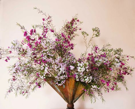 Bouquets To Make From Grocery Store Flowers | Architectural Digest Grocery Store Flowers, Nyc Florist, Wax Flower, Eucalyptus Branches, Beautiful Bouquets, Wax Flowers, Floral Photography, Antique Inspiration, Floral Display