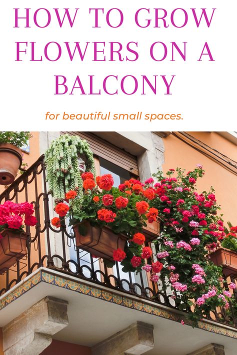 Flowers In Balcony, Flower Balcony Ideas, Small Balcony Flower Ideas, Balcony Climbing Plants, Balcon Flowers Ideas, Apartment Flowers Balcony, Small Balcony Flowers, Balcony Rose Garden, Apartment Flower Garden