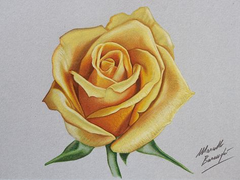 Yellow rose DRAWING by Marcello Barenghi by marcellobarenghi.deviantart.com on @DeviantArt Realistic Rose Drawing, Yellow Rose Tattoos, Yellow Rose Flower, Realistic Rose, Pencil Shading, Colour Pencil, Rose Drawing, Roses Drawing, 3d Drawings