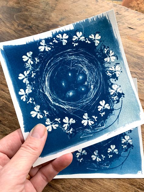 Fabric Cyanotype, Cyanotype Ideas, Cyanotype Printing, Cyanotype Art, Sun Magic, Sun Printing, Cyanotype Process, Sun Prints, Screen Printing Art