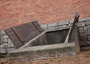 outside entrance Basement Trap Door, Walkout Basement Door, Basement Stairway, Storm Cellar, Basement Door, Cerulean Sea, Basement Systems, Cellar Doors, Environment Photography