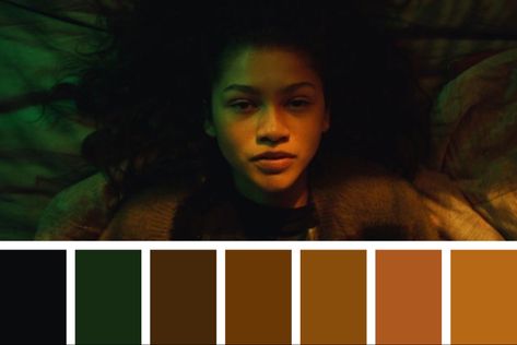 Color palette Post Apocalyptic Color Palette, Films Color Palette, Movie Palette Color, Eerie Color Palette, Melancholy Color Palette, Horror Colour Palette, Film Colour Palette, Cinematography Color Palette, Film Stills Cinematography Color Palettes