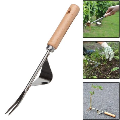 Smart Buys! Stainless steel deep V design garden weeding fork tool 30cm starting from $23.99 See more. 🤓 #gardentools #solarlighting #plantcovers #gardensuppies #irrigation #daisies #gardenornaments #kitchentools #growbags #bakingtools Garden Weeder Tool, Garden Weeding Tools, Weeder Tool, Flower Park, Home Garden Ideas, Weeding Tools, Grasses Garden, Hot Tub Outdoor, Garden Care