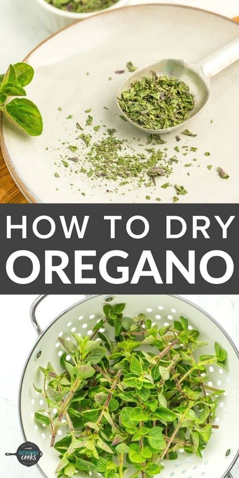 Drying Oregano is a simple way to preserve this delicious pantry staple! Learn how to dry oregano in a food dehydrator, via air drying, or in the oven. How To Dry Oregano Leaves In The Oven, How To Dry Fresh Oregano, Drying Oregano In Oven, Drying Oregano Fresh Herbs, How To Dry Oregano Leaves, Preserving Oregano, Fresh Oregano Recipes, Drying Oregano, Herbs Seasoning