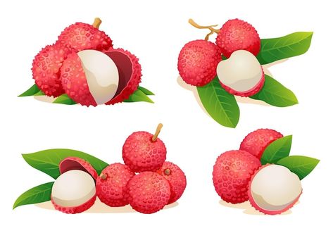 Chinese Fruit, Tropical Desserts, Chinese Ornament, Lychee Fruit, Fruit Logo, Fruit Icons, Packaging Template Design, Business Branding Inspiration, Fruit Cartoon