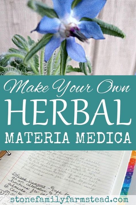 Keeping herbal information along with your family's wellness records couldn't be easier when you make your own herbal materia medica! #takechargeofyourhealth #herbalmateriamedica #herbalmedicine #herbs Family Wellness, Diy Remedies, Natural Therapy, Natural Diy, Natural Health Remedies, Natural Home Remedies, Natural Home, Herbal Medicine, Health Remedies