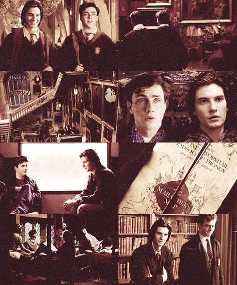 Posters Harry Potter, Young Sirius Black, Aaron Johnson, Yer A Wizard Harry, All The Young Dudes, Harry Potter Pictures, Lily Evans, Harry Potter Marauders, Ben Barnes