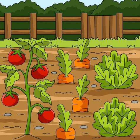 Vector vegetables field colored cartoon ... | Premium Vector #Freepik #vector #lettuce #lettuce-leaf #tomato-plant #tomato-farm Farm With Animals, Farm Cartoon, Vegetable Drawing, Cartoon Garden, Plant Cartoon, Tomato Farming, Bee Coloring Pages, Vegetable Illustration, Vegetable Farming