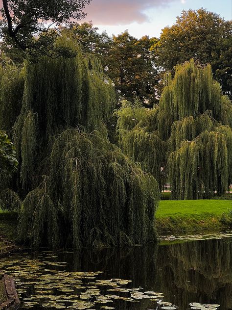 beautiful park in riga, latvia #nature #travel #baltic #aesthetic #wallpaper Baltic Aesthetic, Riga Aesthetic, Latvia Aesthetic, Latvia Nature, 2024 Moodboard, Riga Latvia, Life Board, Beautiful Park, Northern Europe