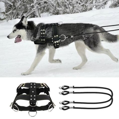 Sled Dog Harness, Dog Pulling Harness, Dogs German Shepherd, Dog Equipment, Service Dog Vests, Dog Weight, Cat Harness, Cat Carrier, Dog Agility