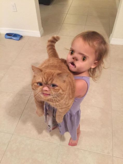 Cat Looks Pretty Though Face Swap Fails, Vampire Child, Funny Face Swap, Funniest Snapchats, Laughing Funny, Sassy Cat, Face Swaps, Snapchat Funny, 웃긴 사진