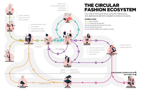 Circular Economy Fashion, Circular Fashion Economy, Circular Economy Infographic, Circular Economy Design, Circular Infographic, Economy Infographic, Economy Design, Ecosystems Projects, Ground Design