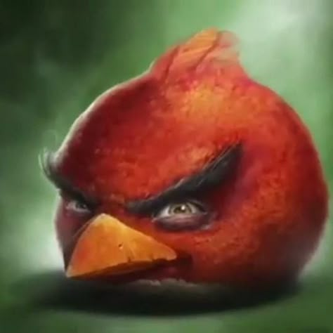 Realistic Angry Birds, Red Characters, Peace Was Never An Option, Ideas Para Dibujos, Angry Bird, Angry Birds, Brain, Avatar, Birds