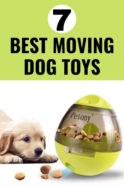 Every dog owner knows how much dogs enjoy playtime with their favorite toys, and that’s why finding the best toys for your dog matters.  This video explains what different types of interactive dog toys there are to choose from, and why they may be good. However, for many dogs, a moving toy is a perfect fit. #dogtoys Big Dog Toys, Dog Rope Toy, Dog Tug Toy, Cool Dog Stuff, Indestructible Dog Toys, Homemade Dog Toys, Healthier Eating Habits, Bored Dog, Dog Toy Storage