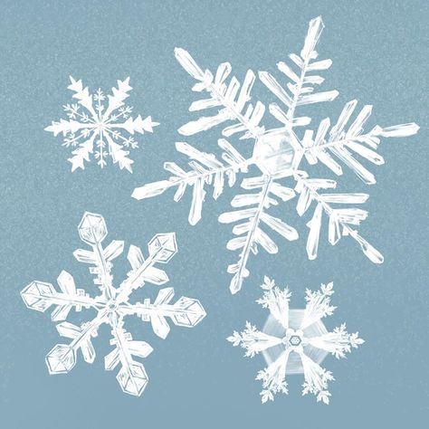 Snowflake Illustration, Christmas Tree Plant, Snowflakes Drawing, Snowflake Images, Snow Illustration, Snow Vector, Snowflakes Art, Snow Theme, Snowflake Background