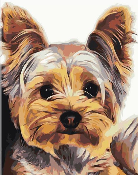 Yorkie Painting, Dog Sketches, Water Based Acrylic Paint, Companion Dog, Work With Animals, Oil Painting Flowers, Paint By Numbers, Dog Paintings, Painting Process